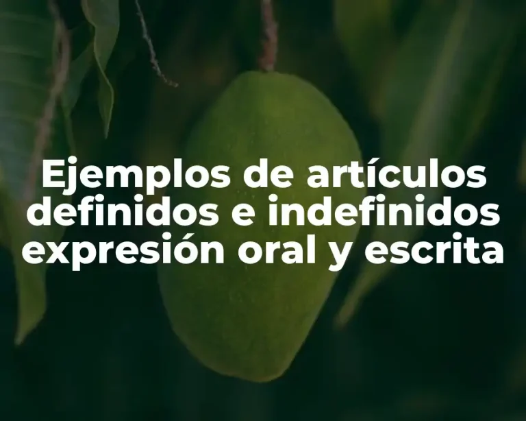 Ejemplos de artículos definidos e indefinidos expresión oral y escrita