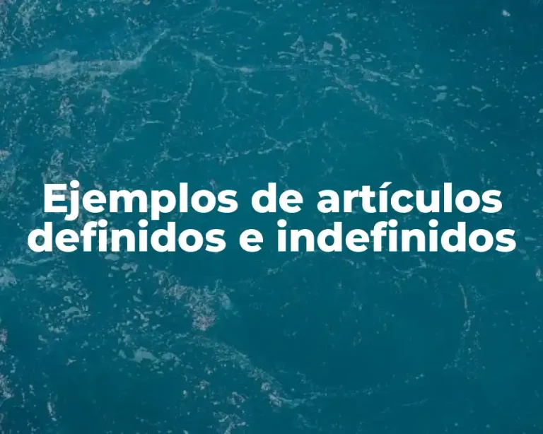 Ejemplos de artículos definidos e indefinidos