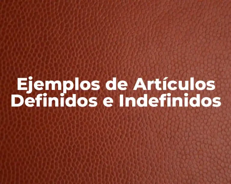Ejemplos de Artículos Definidos e Indefinidos