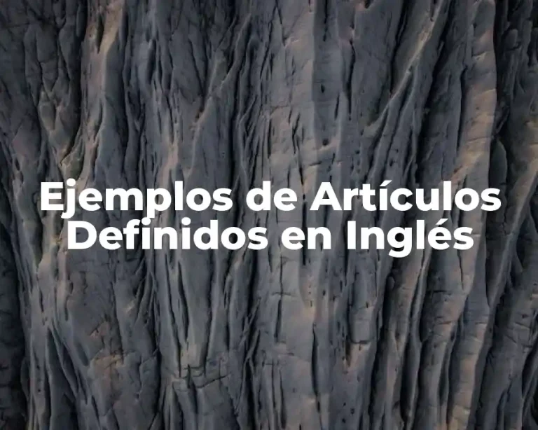 Ejemplos de Artículos Definidos en Inglés