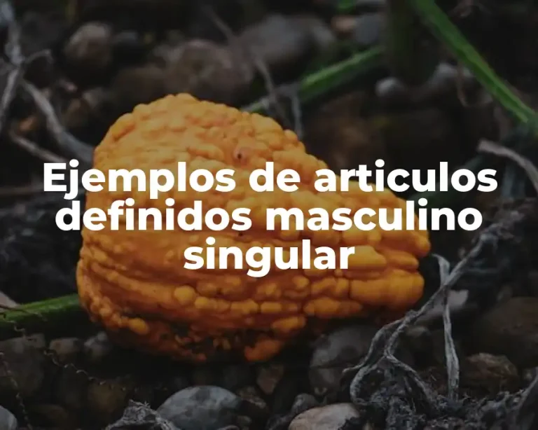 Ejemplos de articulos definidos masculino singular