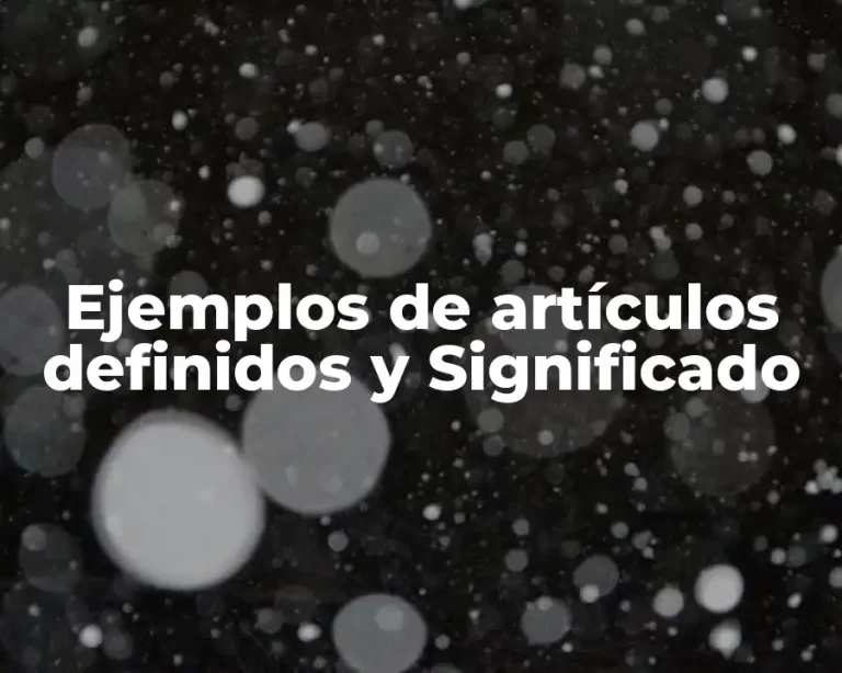 Ejemplos de artículos definidos y Significado