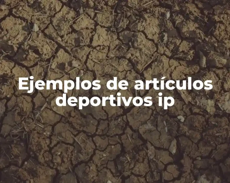 Ejemplos de artículos deportivos ip