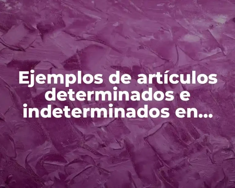 Ejemplos de artículos determinados e indeterminados en inglés y Significado