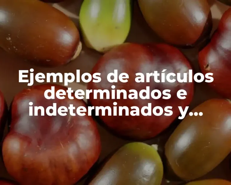 Ejemplos de artículos determinados e indeterminados y Significado