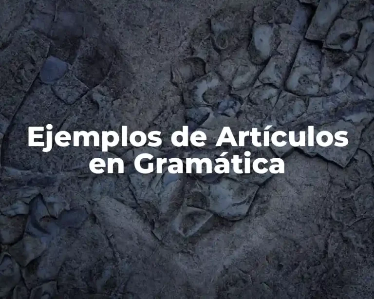 Ejemplos de Artículos en Gramática