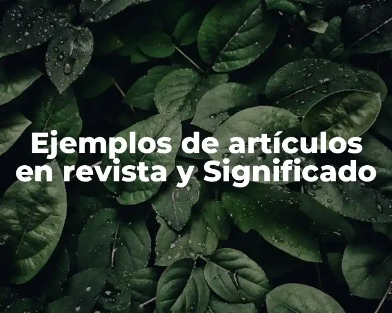 Ejemplos de artículos en revista y Significado