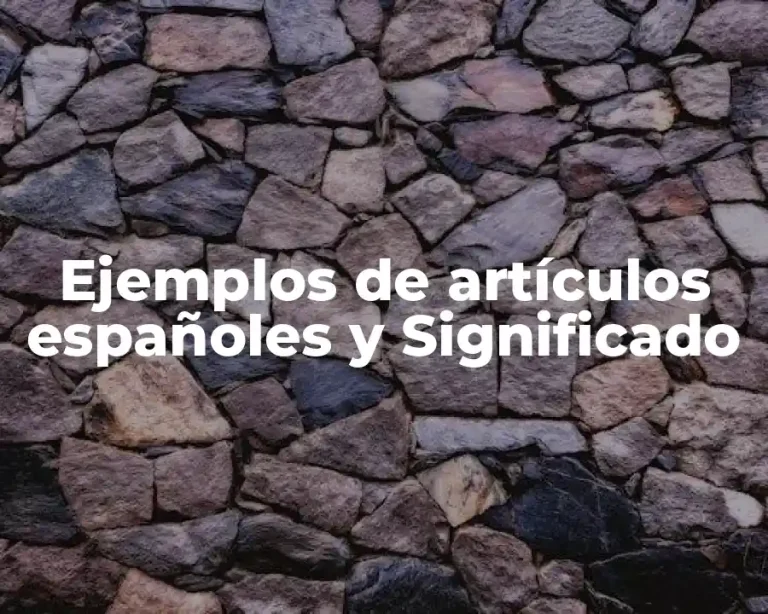 Ejemplos de artículos españoles y Significado