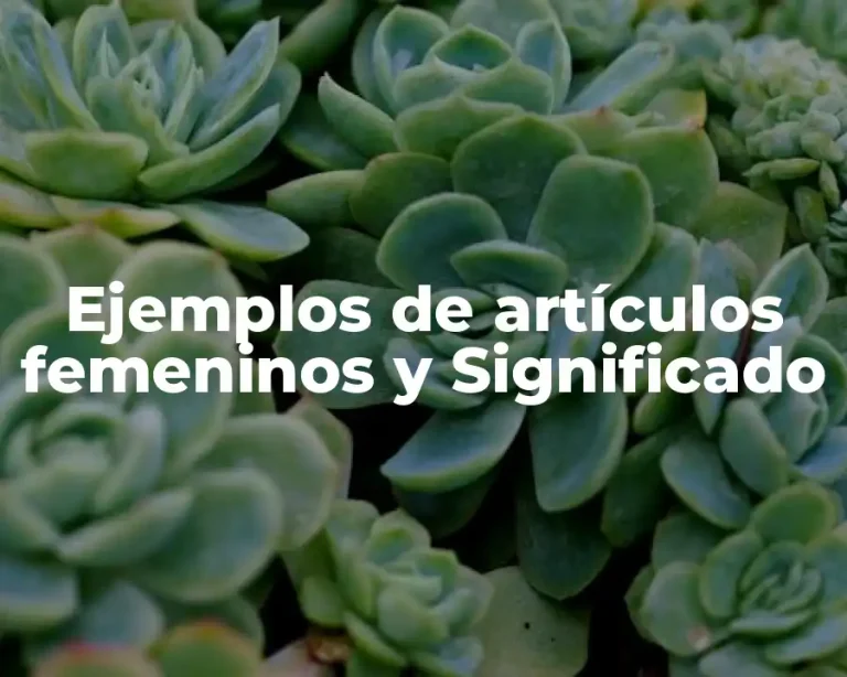 Ejemplos de artículos femeninos y Significado