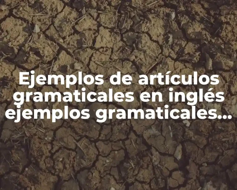 Ejemplos de artículos gramaticales en inglés ejemplos gramaticales de