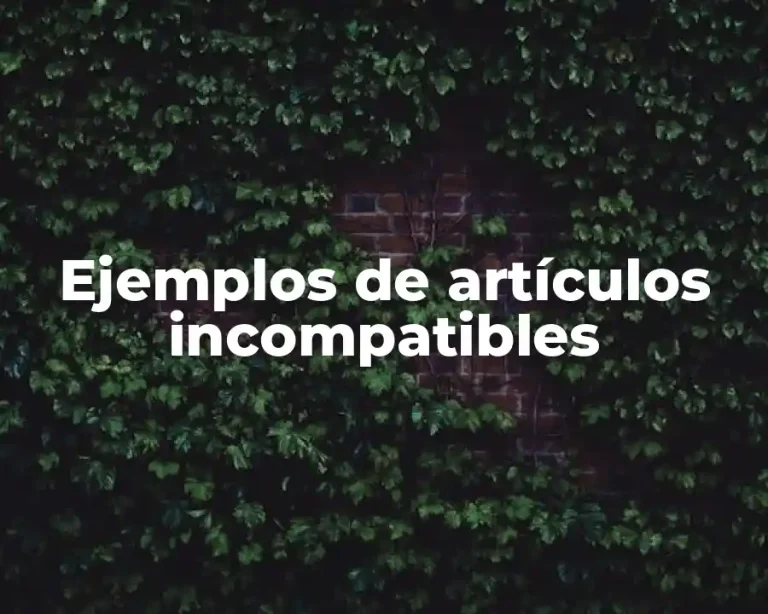 Ejemplos de artículos incompatibles