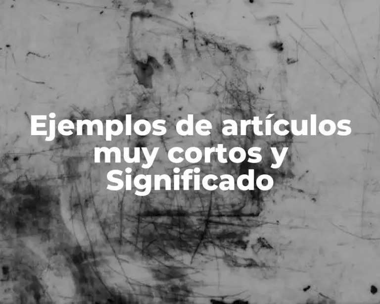 Ejemplos de artículos muy cortos y Significado