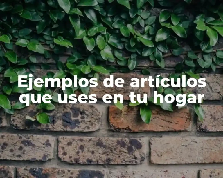 Ejemplos de artículos que uses en tu hogar