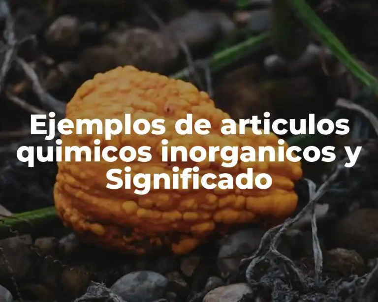 Ejemplos de articulos quimicos inorganicos y Significado