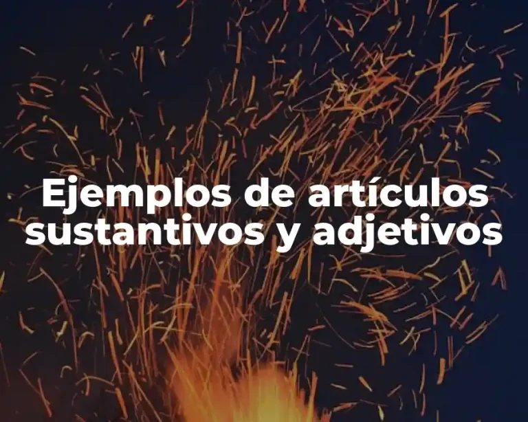 Ejemplos de artículos sustantivos y adjetivos