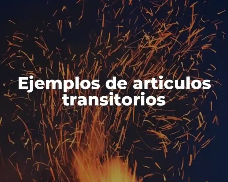 Ejemplos de articulos transitorios