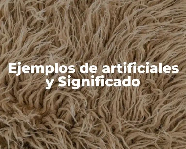 Ejemplos de artificiales y Significado