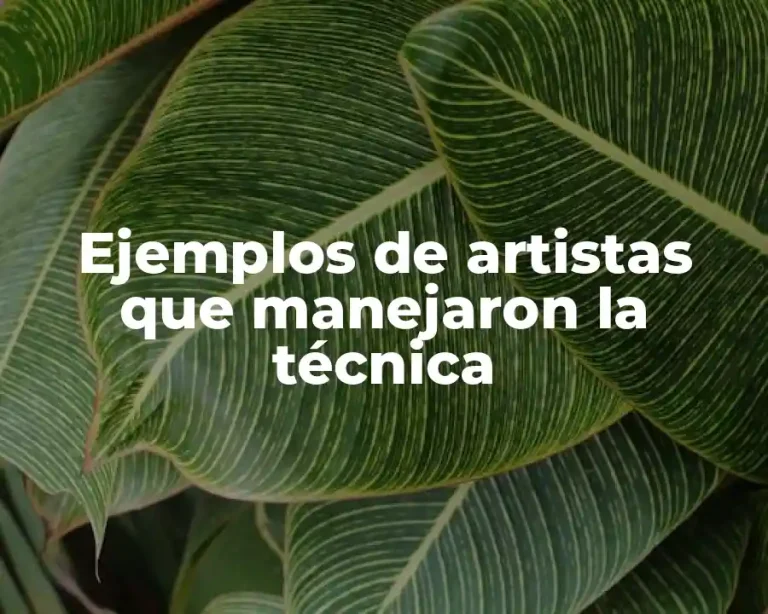 Ejemplos de artistas que manejaron la técnica