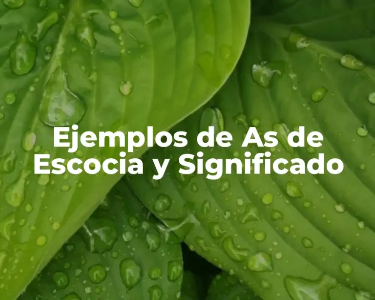 Ejemplos de As de Escocia y Significado