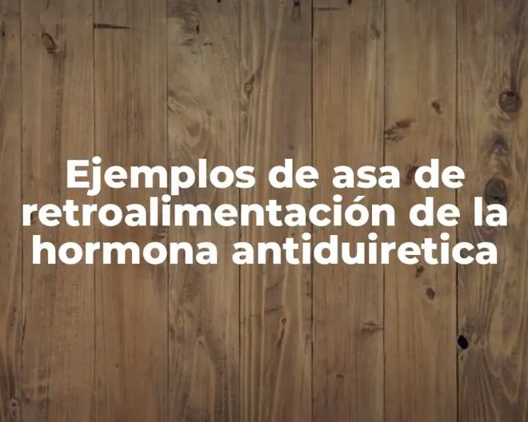 Ejemplos de asa de retroalimentación de la hormona antiduiretica