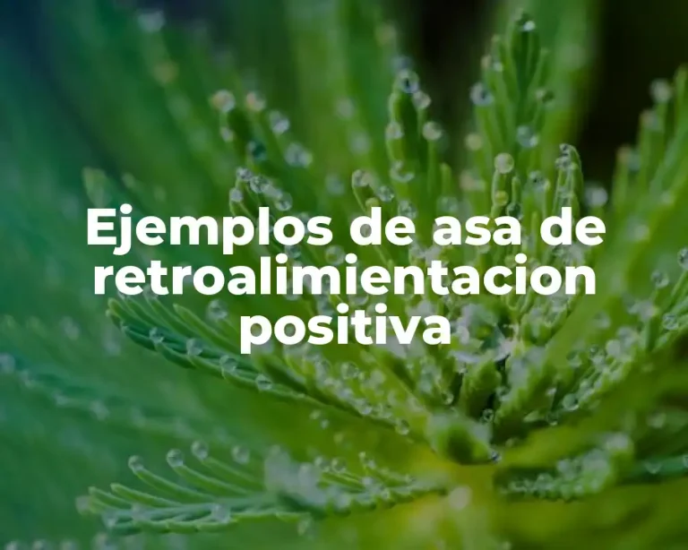 Ejemplos de asa de retroalimientacion positiva