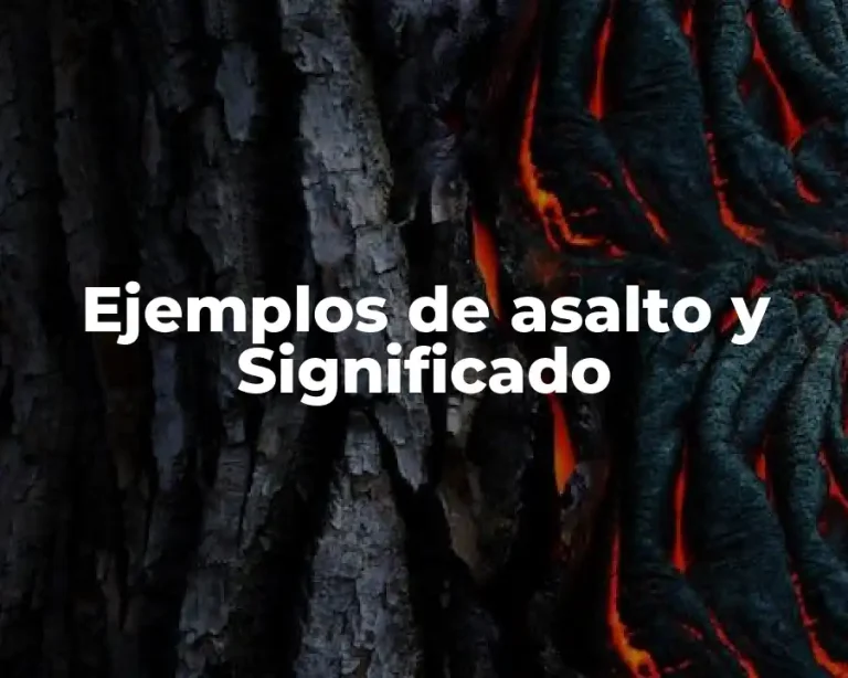 Ejemplos de asalto y Significado