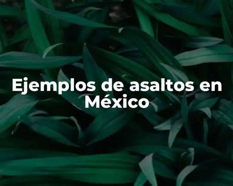 Ejemplos de asaltos en México