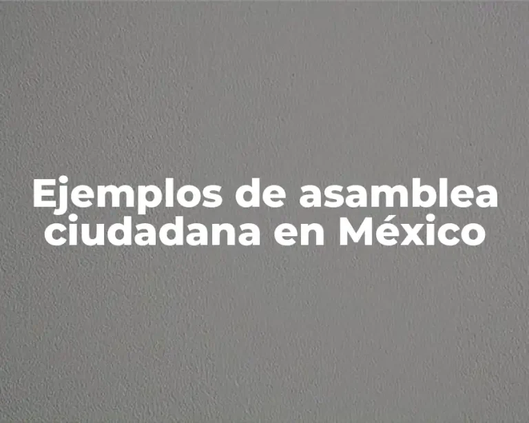 Ejemplos de asamblea ciudadana en México