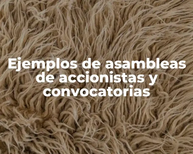 Ejemplos de asambleas de accionistas y convocatorias