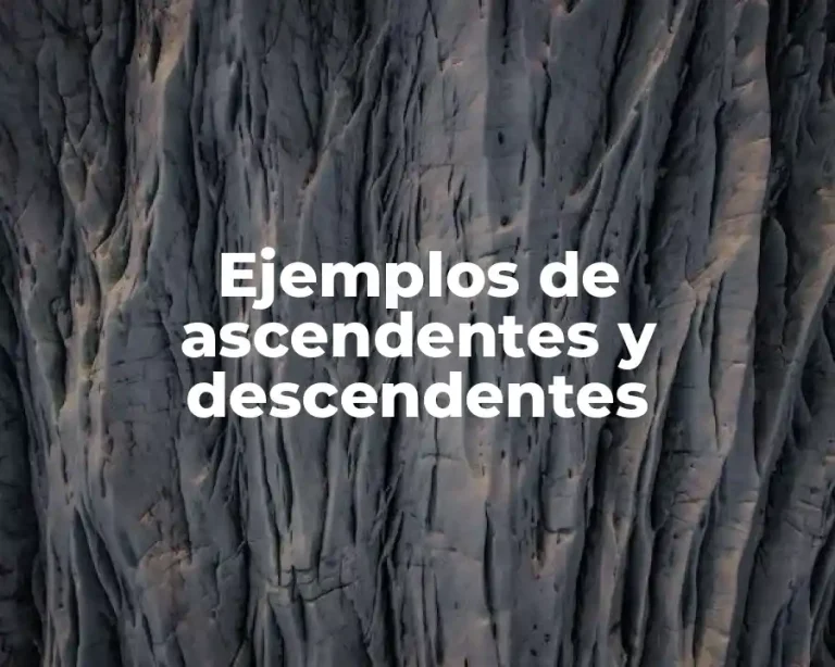 Ejemplos de ascendentes y descendentes