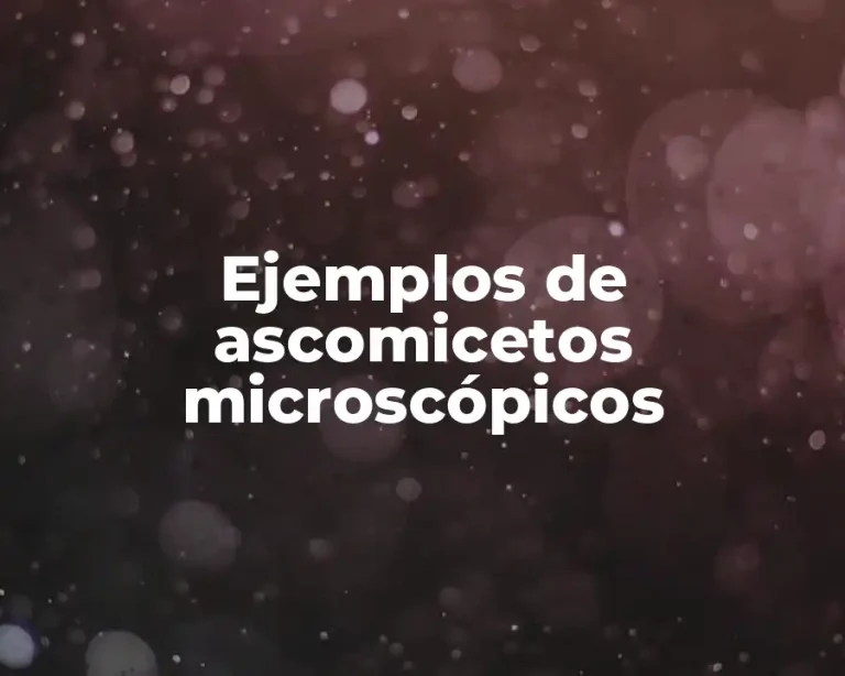 Ejemplos de ascomicetos microscópicos