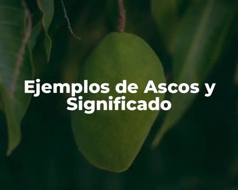 Ejemplos de Ascos y Significado