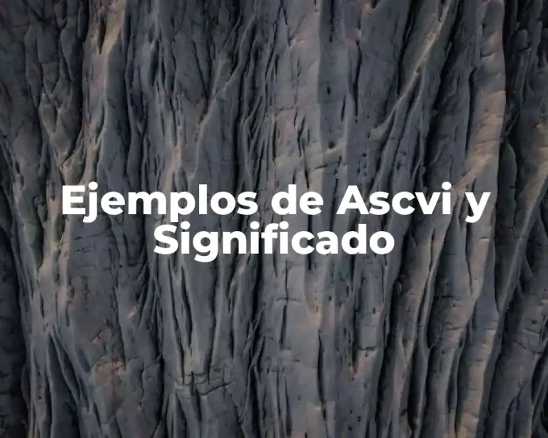 Ejemplos de Ascvi y Significado