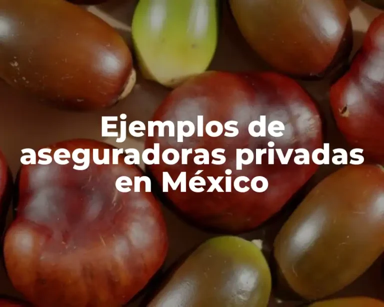 Ejemplos de aseguradoras privadas en México