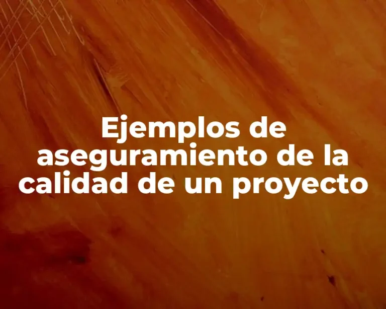 Ejemplos de aseguramiento de la calidad de un proyecto