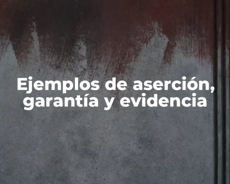 Ejemplos de aserción, garantía y evidencia