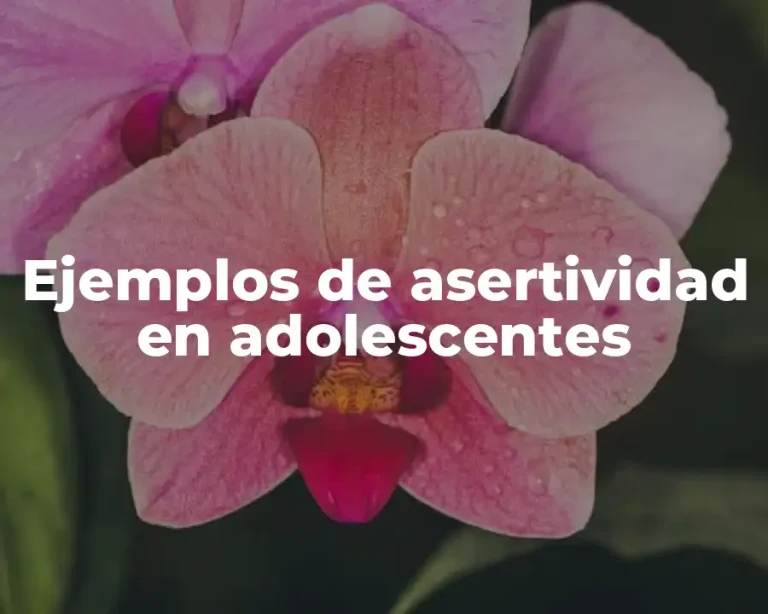 Ejemplos de asertividad en adolescentes