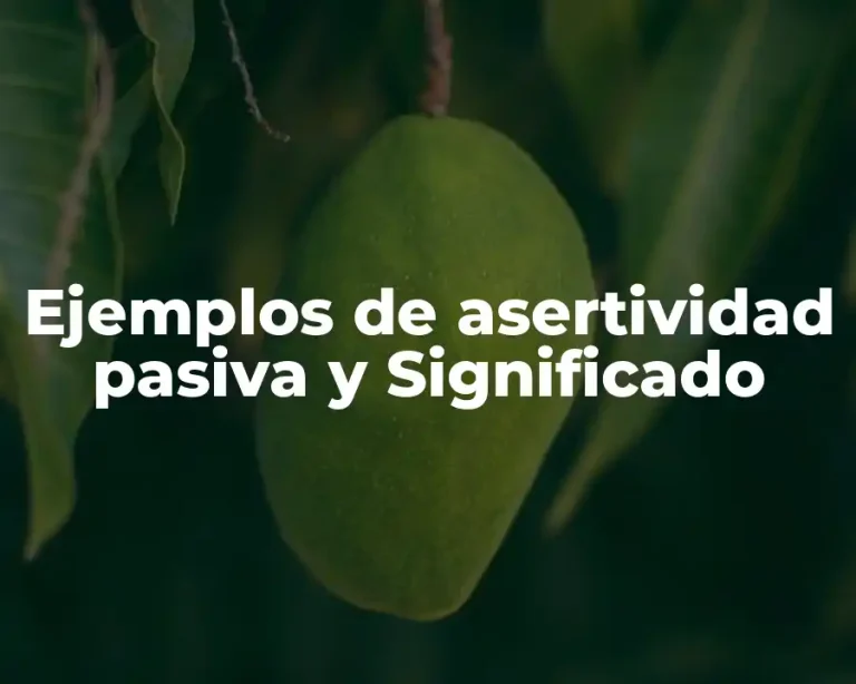 Ejemplos de asertividad pasiva y Significado