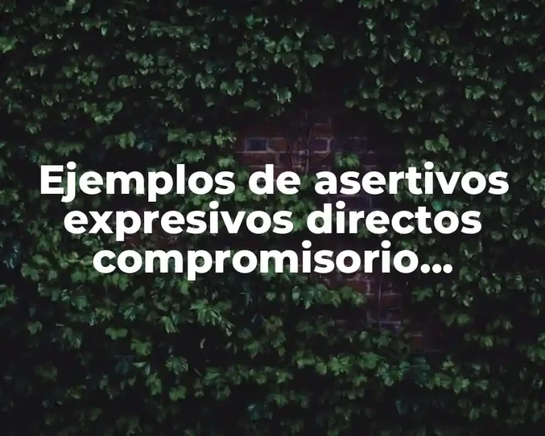 Ejemplos de asertivos expresivos directos compromisorio declaratico