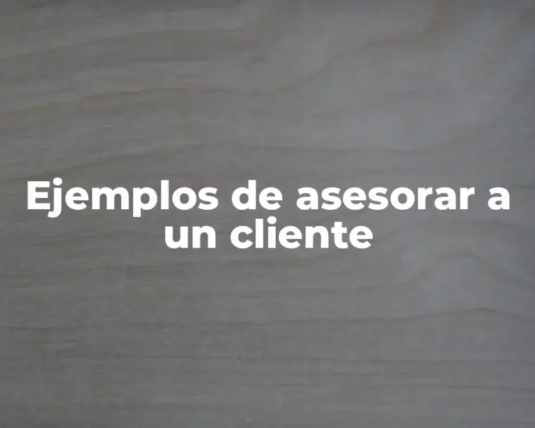 Ejemplos de asesorar a un cliente