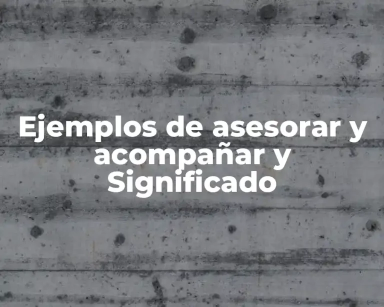 Ejemplos de asesorar y acompañar y Significado