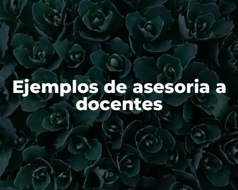 Ejemplos de asesoria a docentes