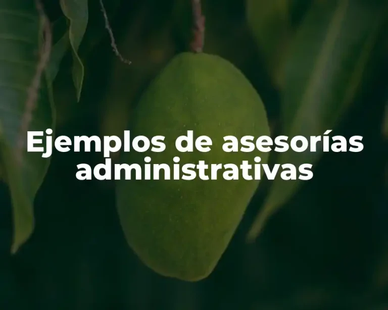Ejemplos de asesorías administrativas