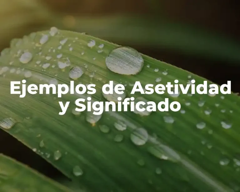 Ejemplos de Asetividad y Significado