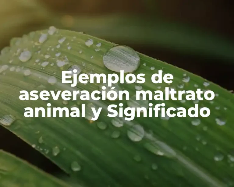 Ejemplos de aseveración maltrato animal y Significado