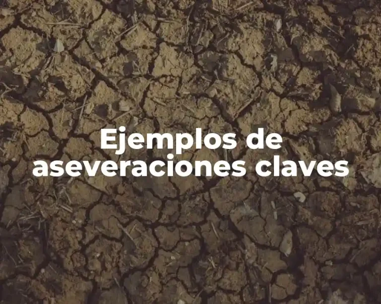 Ejemplos de aseveraciones claves
