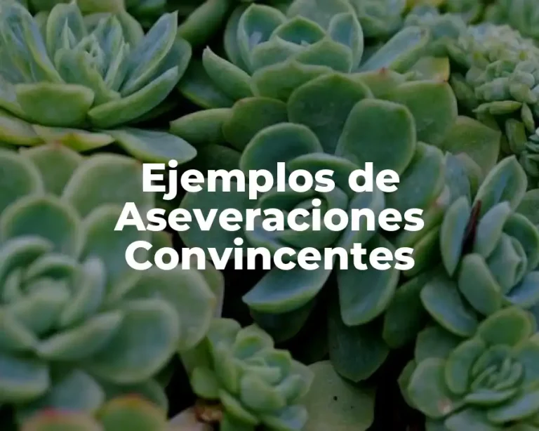 Ejemplos de Aseveraciones Convincentes