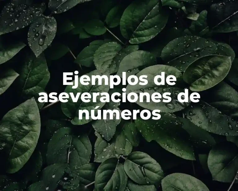 Ejemplos de aseveraciones de números
