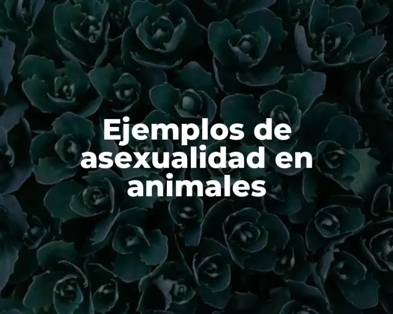Ejemplos de asexualidad en animales