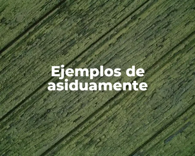 Ejemplos de asiduamente